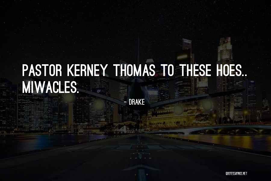 Pegs For Shelves Quotes By Drake Pegs For Shelves Quotes By Drake