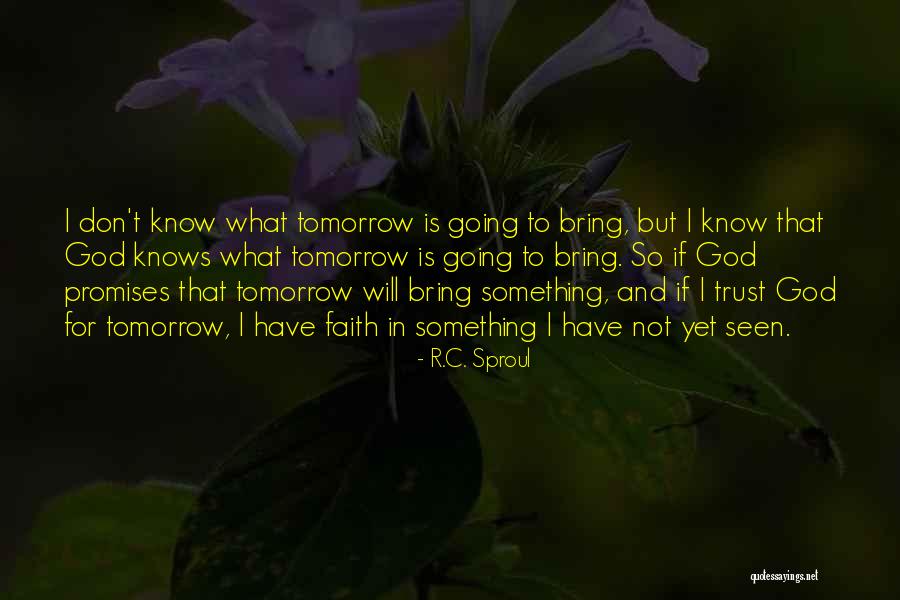 Pegula Net Quotes By R.C. Sproul Pegula Net Quotes By R.C. Sproul