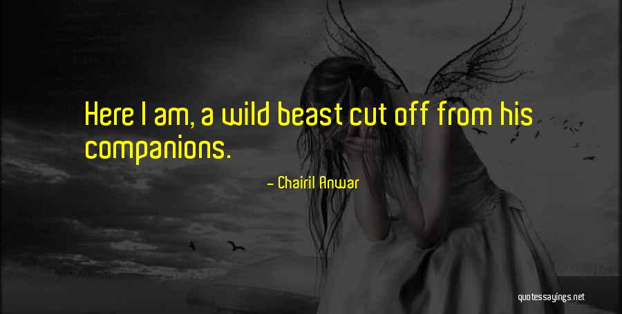 Peiffer Wolf Quotes By Chairil Anwar Peiffer Wolf Quotes By Chairil Anwar