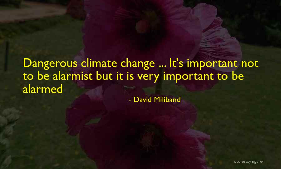 Peins Enlargement Quotes By David Miliband Peins Enlargement Quotes By David Miliband