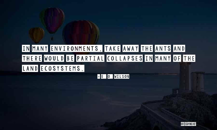 Peintre Raphael Quotes By E. O. Wilson Peintre Raphael Quotes By E. O. Wilson