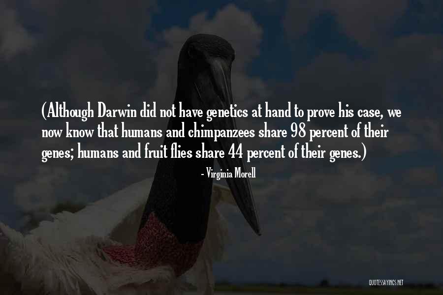 Peiter Mortensen Quotes By Virginia Morell Peiter Mortensen Quotes By Virginia Morell