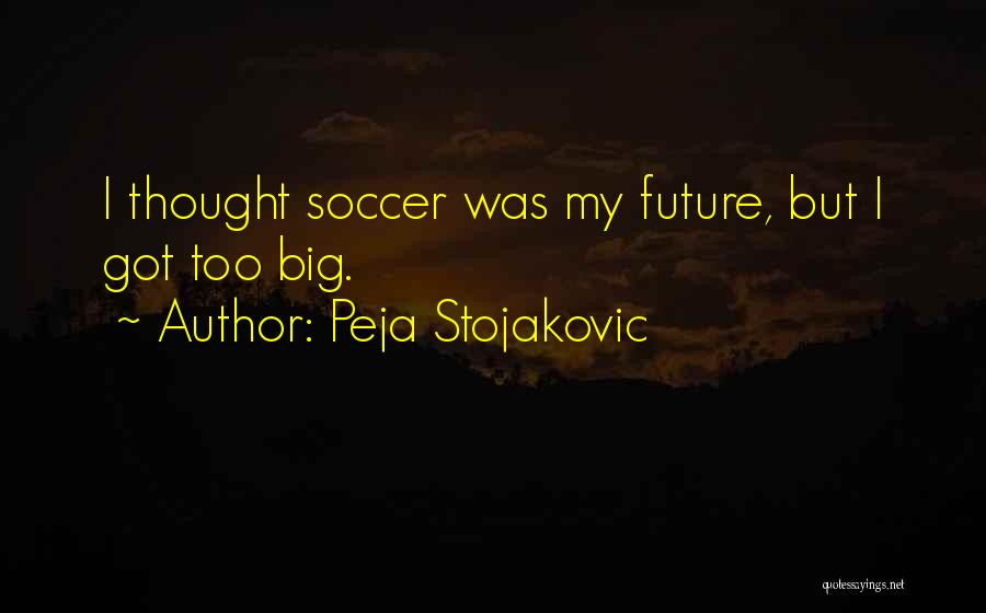 Peja Stojakovic Quotes 2192930