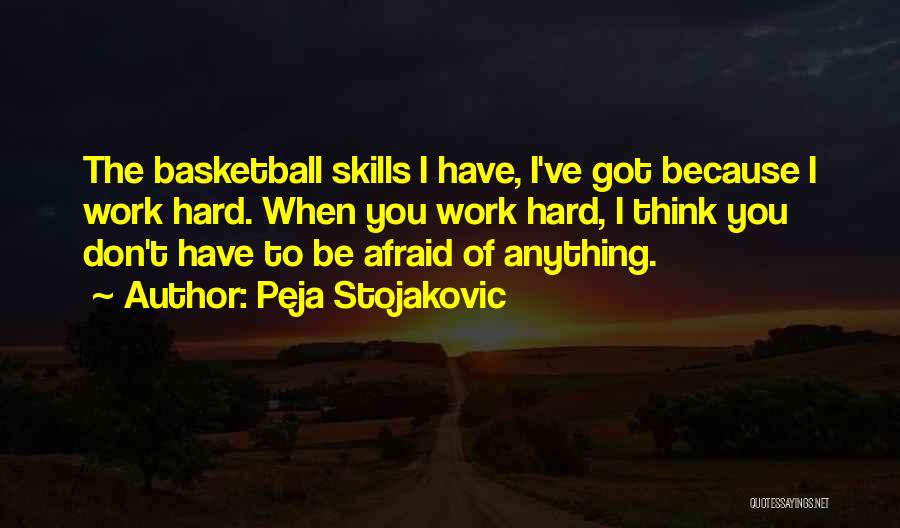 Peja Stojakovic Quotes 766838