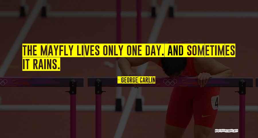 Pejko Obuv Quotes By George Carlin Pejko Obuv Quotes By George Carlin