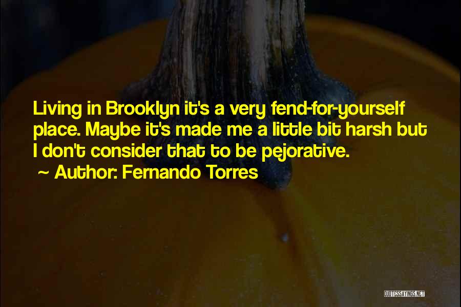 Pejorative Quotes By Fernando Torres