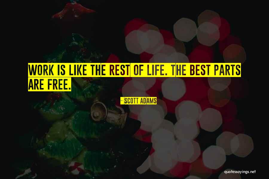 Pejoratives For Democrats Quotes By Scott Adams Pejoratives For Democrats Quotes By Scott Adams