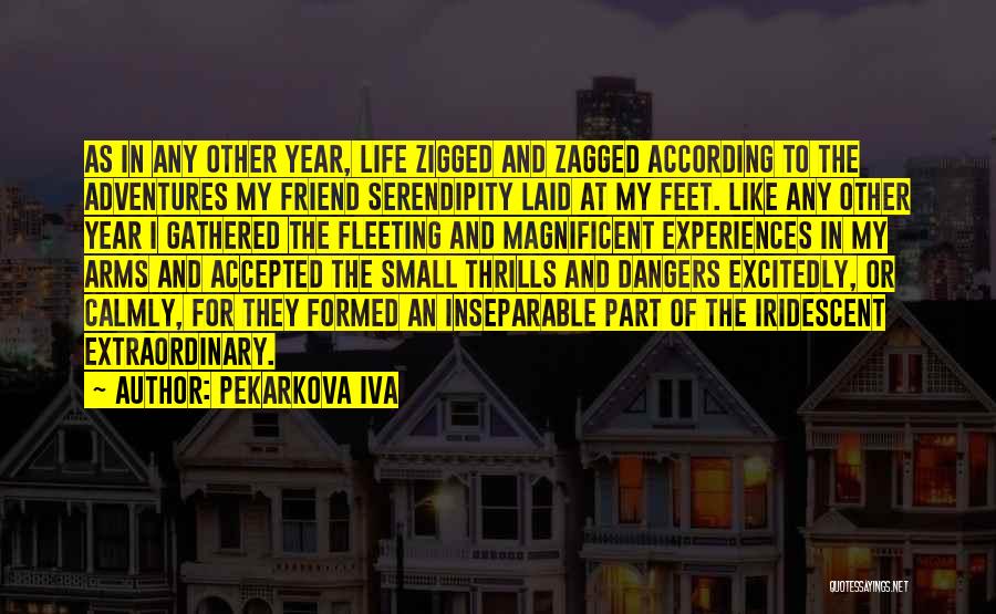 Pekarkova Iva Quotes 1150326