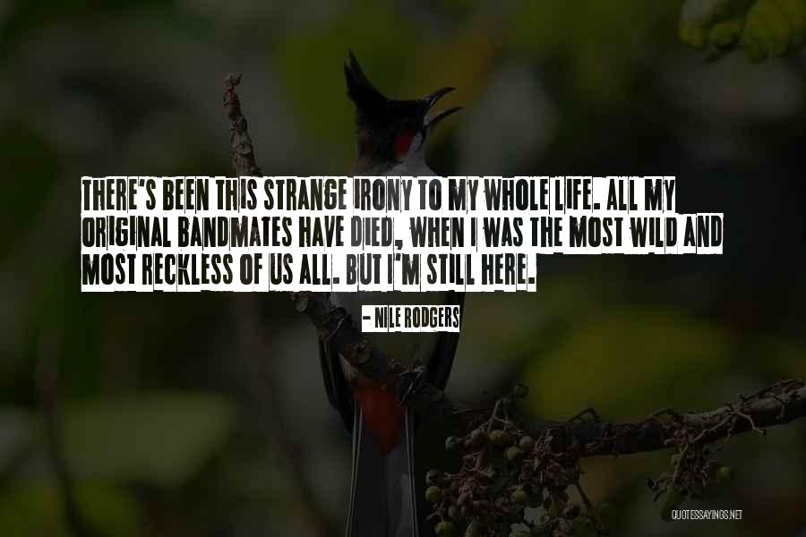 Pekatsho Quotes By Nile Rodgers Pekatsho Quotes By Nile Rodgers