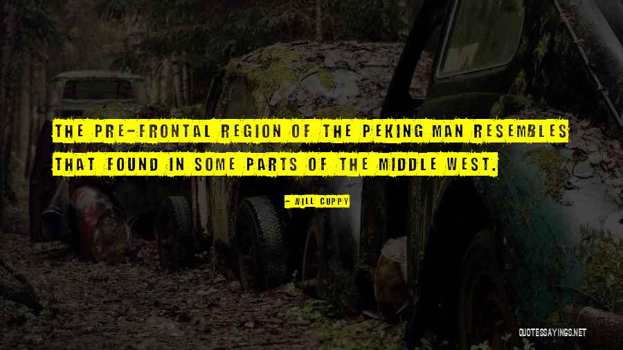Peking Man Quotes By Will Cuppy Peking Man Quotes By Will Cuppy