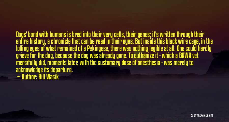 Pekingese Dog Quotes By Bill Wasik