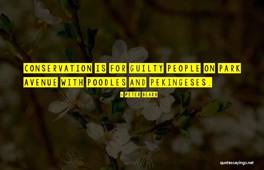Pekingeses Quotes By Peter Beard Pekingeses Quotes By Peter Beard