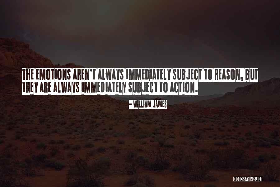 Pekka Rinne Quotes By William James Pekka Rinne Quotes By William James