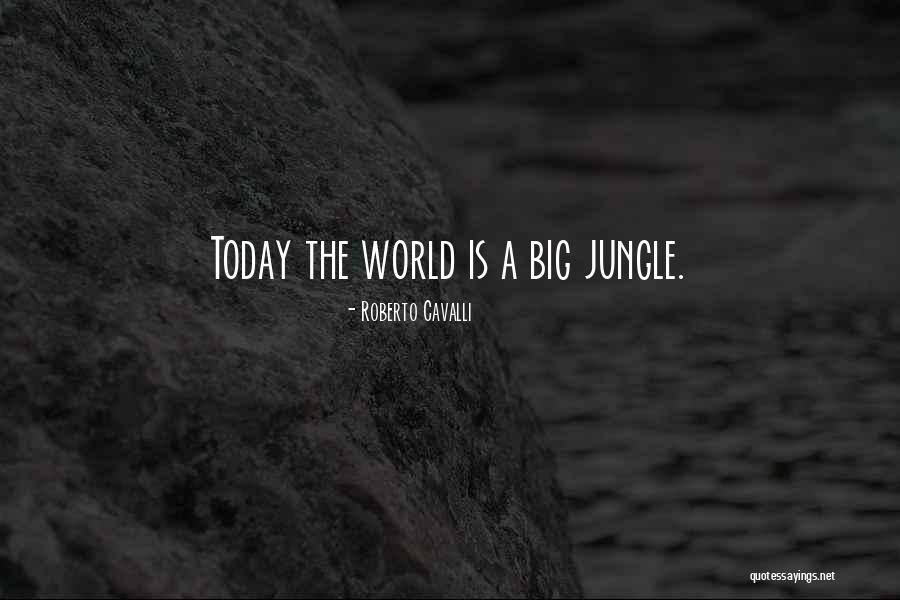 Pelagic Clothing Quotes By Roberto Cavalli Pelagic Clothing Quotes By Roberto Cavalli