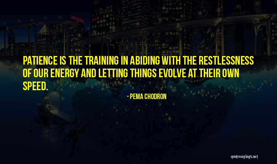 Pelaku Bisnis Quotes By Pema Chodron