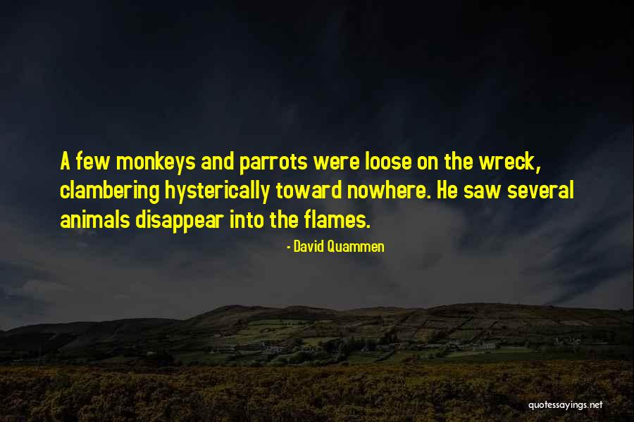 Pelando El Quotes By David Quammen Pelando El Quotes By David Quammen