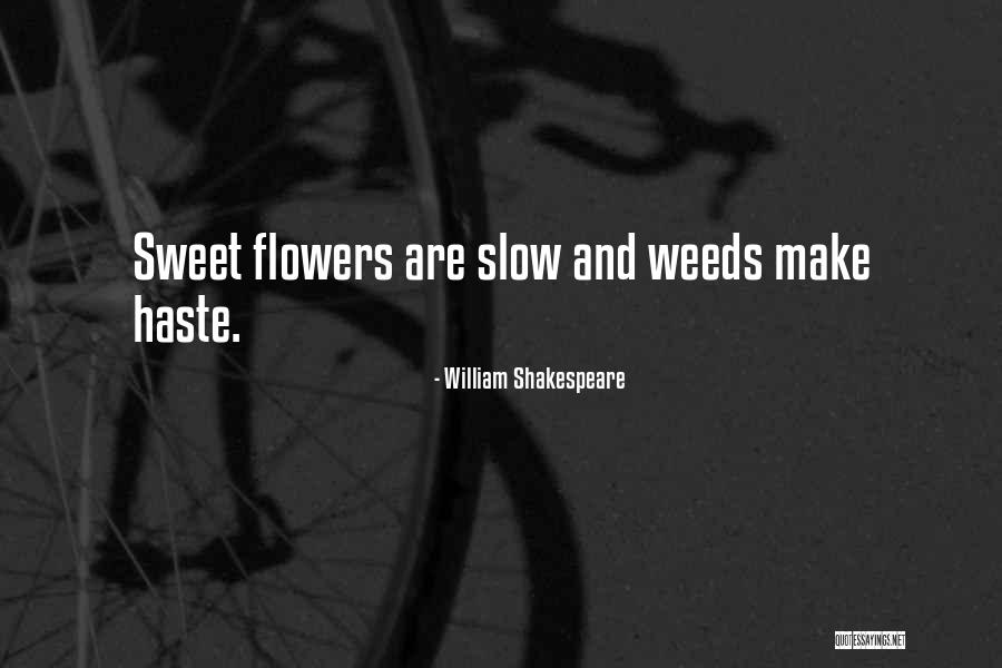 Peleara Contra Quotes By William Shakespeare Peleara Contra Quotes By William Shakespeare