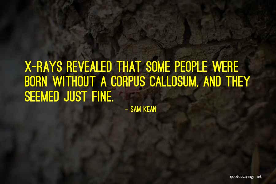 Pelee Point Quotes By Sam Kean Pelee Point Quotes By Sam Kean