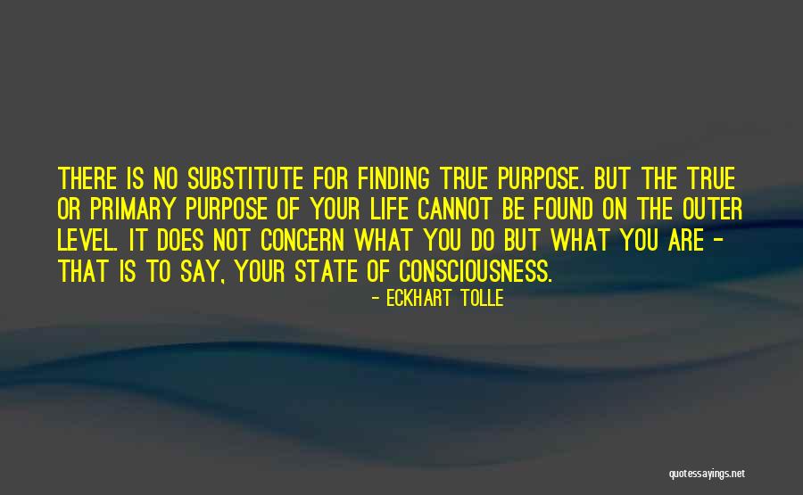 Pelennor Collection Quotes By Eckhart Tolle Pelennor Collection Quotes By Eckhart Tolle