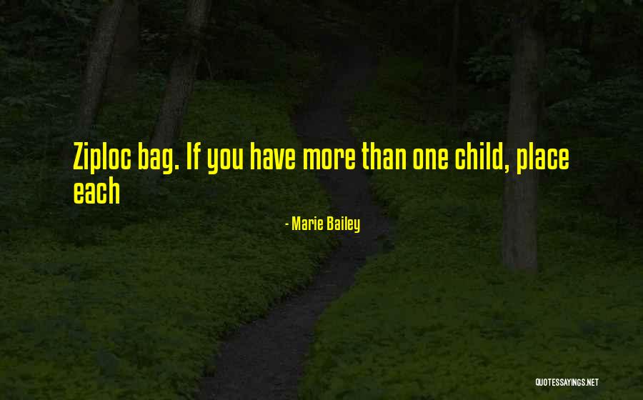 Pelerin Minecraft Quotes By Marie Bailey Pelerin Minecraft Quotes By Marie Bailey