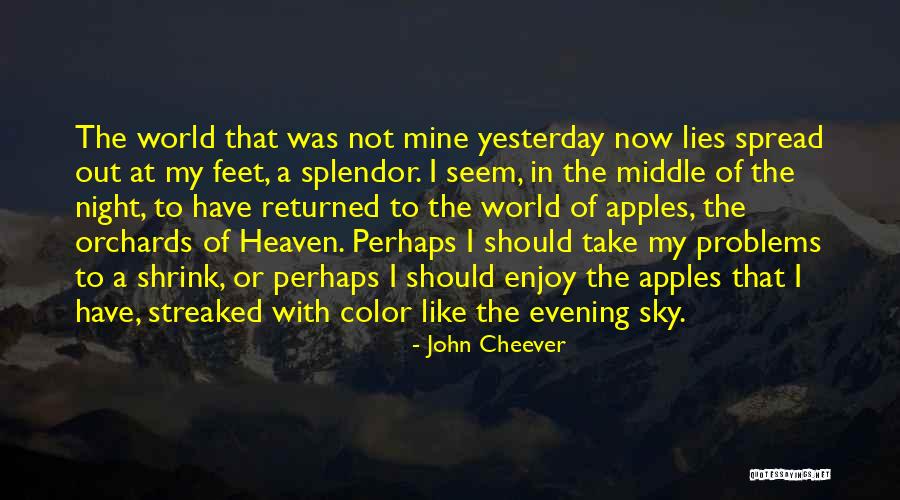 Pelicans New Orleans Quotes By John Cheever Pelicans New Orleans Quotes By John Cheever