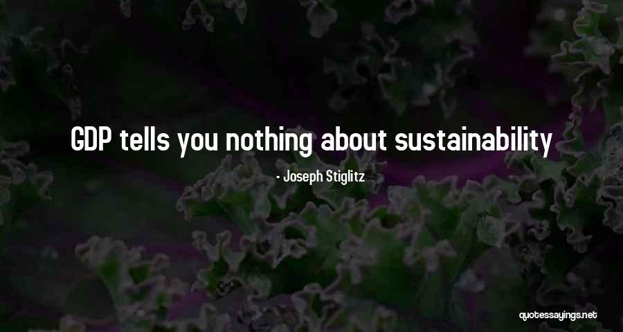 Pelindaba Quotes By Joseph Stiglitz Pelindaba Quotes By Joseph Stiglitz