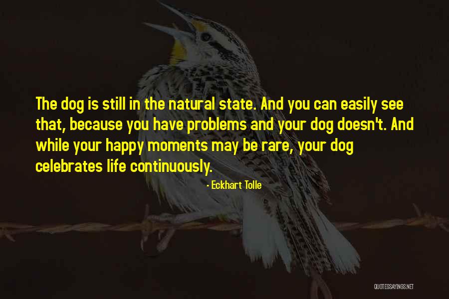 Pellecchia Andrew Quotes By Eckhart Tolle