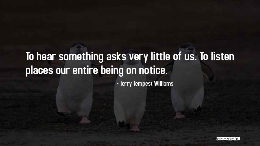 Pellegrini Meats Quotes By Terry Tempest Williams Pellegrini Meats Quotes By Terry Tempest Williams