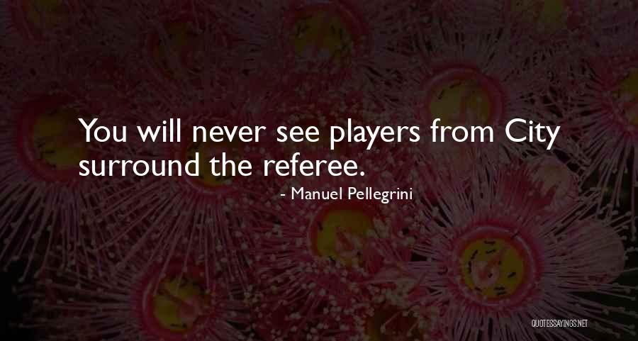 Pellegrini Quotes By Manuel Pellegrini