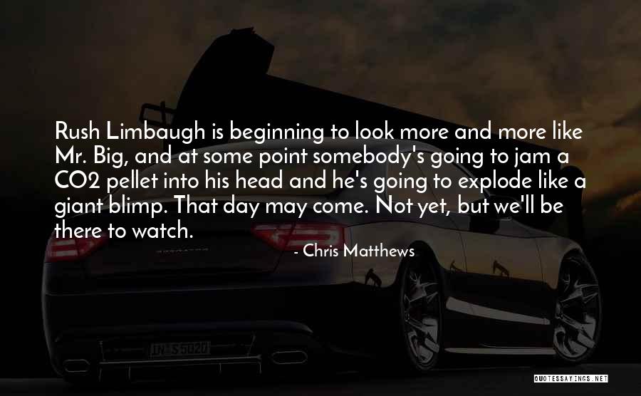 Pellet Quotes By Chris Matthews Pellet Quotes By Chris Matthews