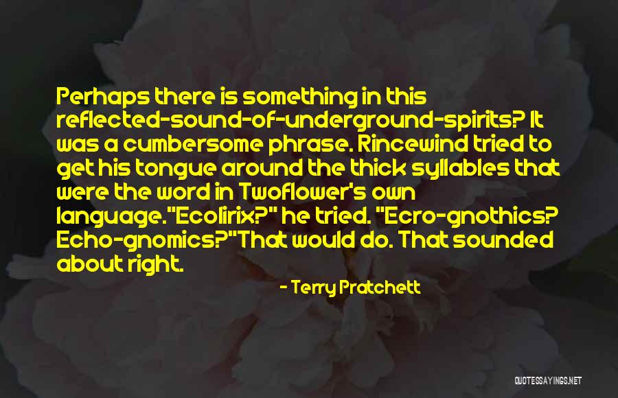 Pellets For Pellet Quotes By Terry Pratchett Pellets For Pellet Quotes By Terry Pratchett