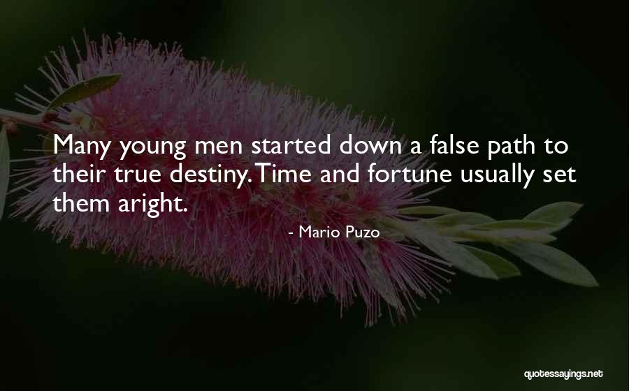 Pellicer Counseling Quotes By Mario Puzo Pellicer Counseling Quotes By Mario Puzo