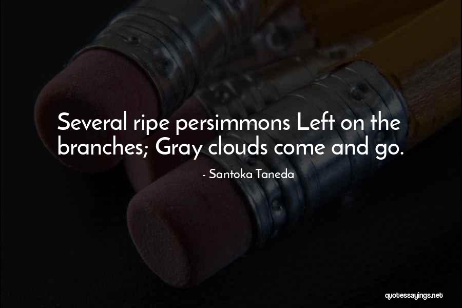 Pellini Coffee Quotes By Santoka Taneda Pellini Coffee Quotes By Santoka Taneda