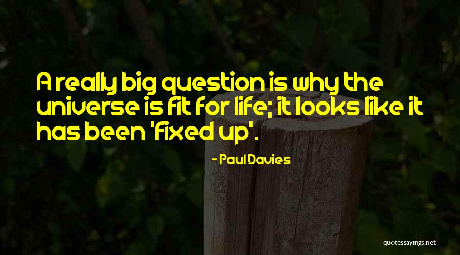 Pellizco Candy Quotes By Paul Davies Pellizco Candy Quotes By Paul Davies