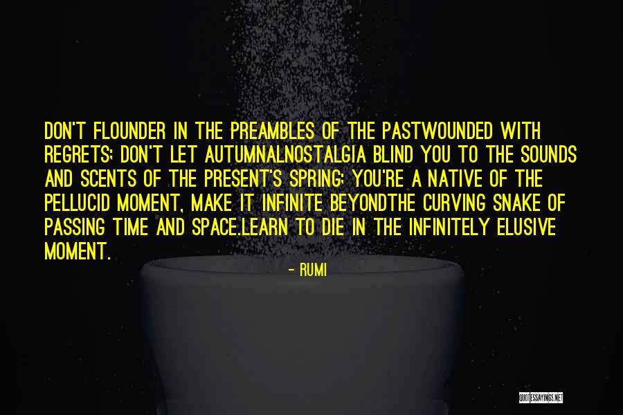 Pellucid Quotes By Rumi Pellucid Quotes By Rumi