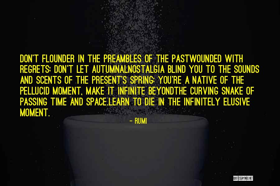 Pellucid Quotes By Rumi