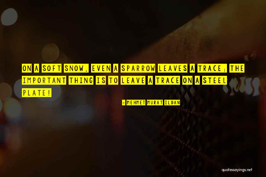 Pelmanism Quotes By Mehmet Murat Ildan Pelmanism Quotes By Mehmet Murat Ildan
