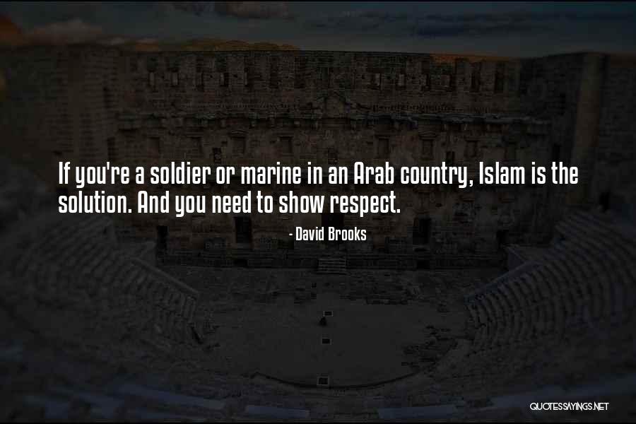 Pelops Damianos Quotes By David Brooks Pelops Damianos Quotes By David Brooks