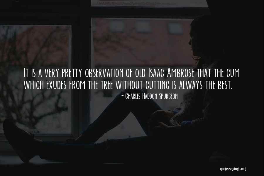 Pelorus Group Quotes By Charles Haddon Spurgeon Pelorus Group Quotes By Charles Haddon Spurgeon
