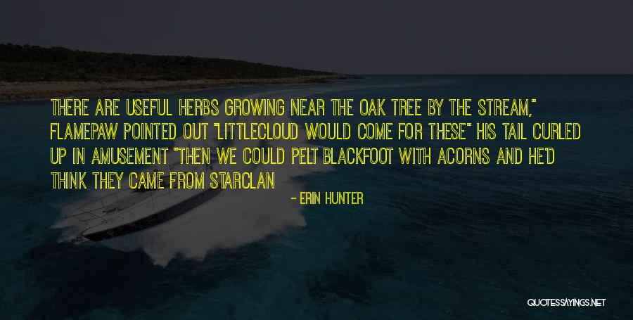 Pelt Quotes By Erin Hunter Pelt Quotes By Erin Hunter