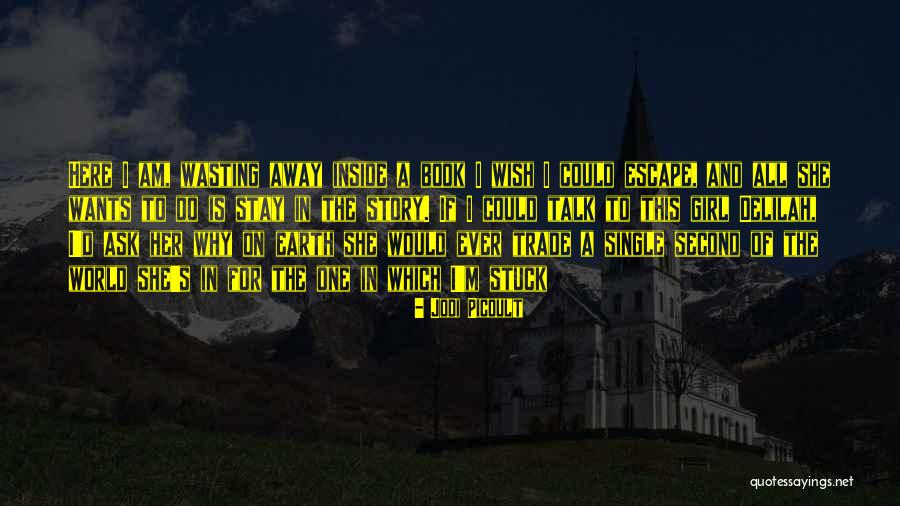 Pelucas Transportation Quotes By Jodi Picoult Pelucas Transportation Quotes By Jodi Picoult