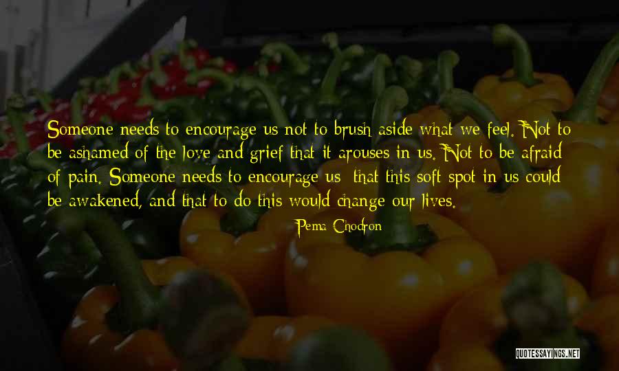 Pema Chodron Change Quotes By Pema Chodron Pema Chodron Change Quotes By Pema Chodron