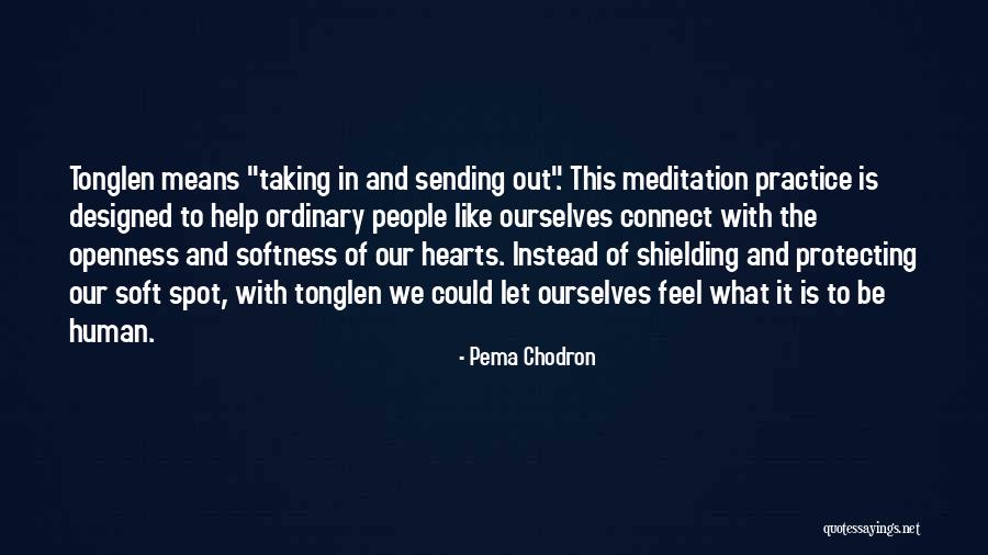 Pema Chodron Quotes 1001274