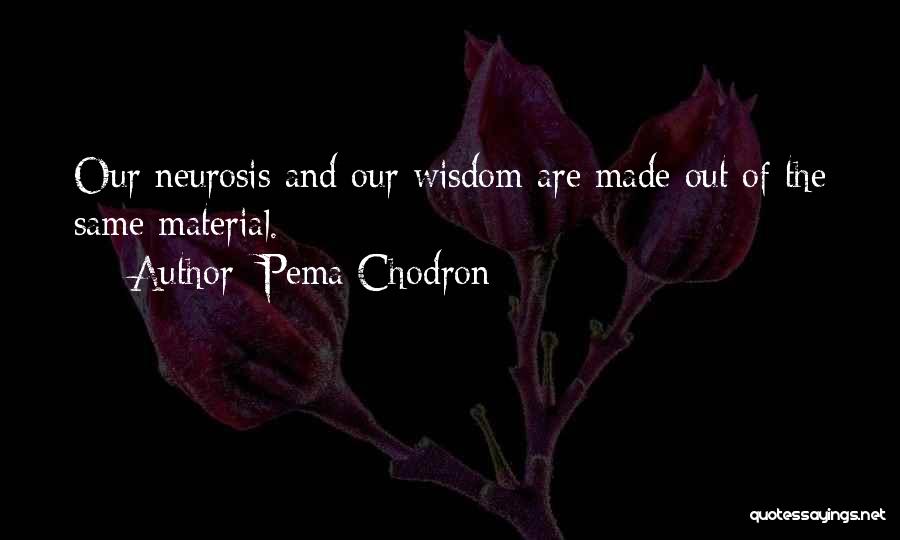 Pema Chodron Quotes 1495446