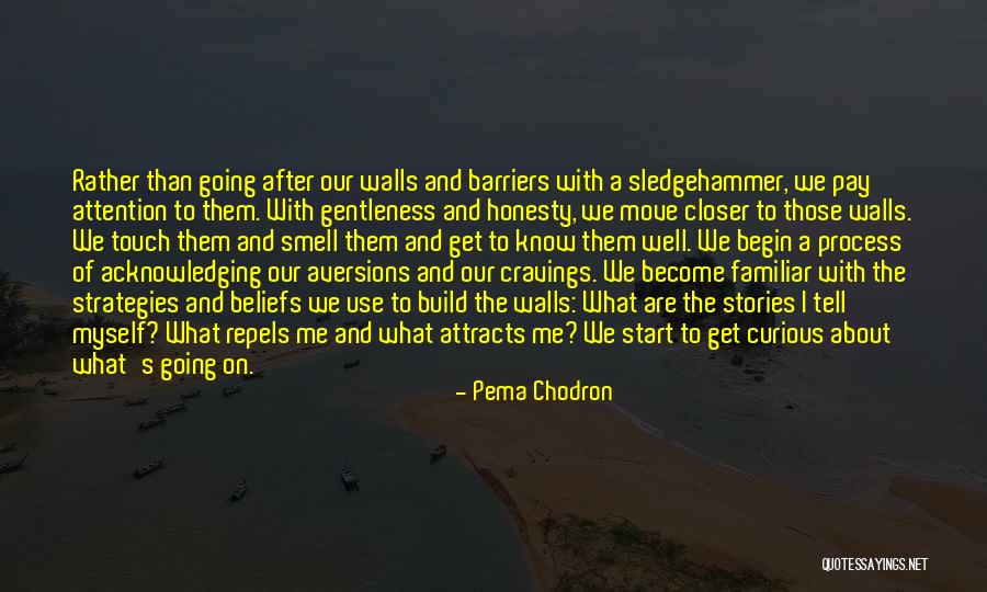 Pema Chodron Quotes 1686411 Pema Chodron Quotes 1686411
