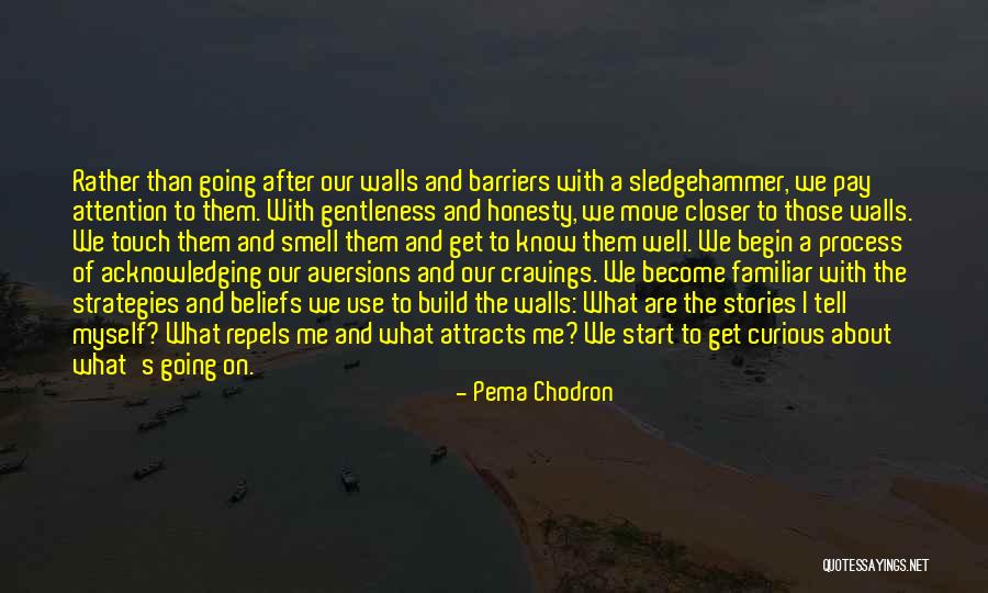 Pema Chodron Quotes 1686411