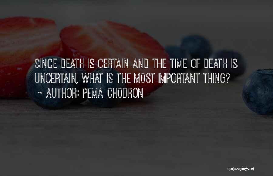 Pema Chodron Quotes 1830210