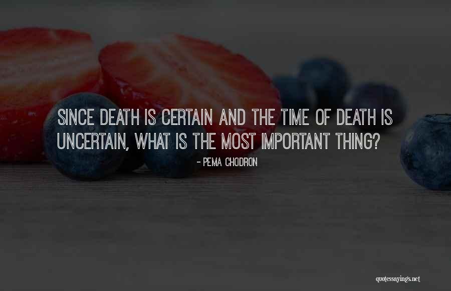 Pema Chodron Quotes 1830210 Pema Chodron Quotes 1830210