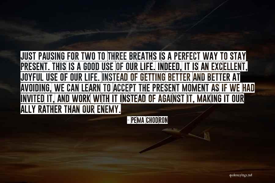 Pema Chodron Quotes 184842 Pema Chodron Quotes 184842