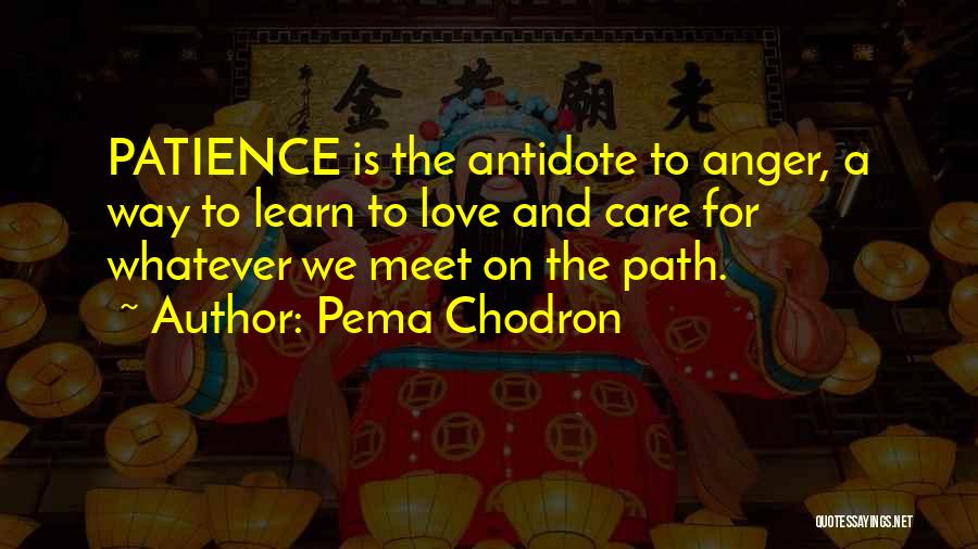 Pema Chodron Quotes 1940347
